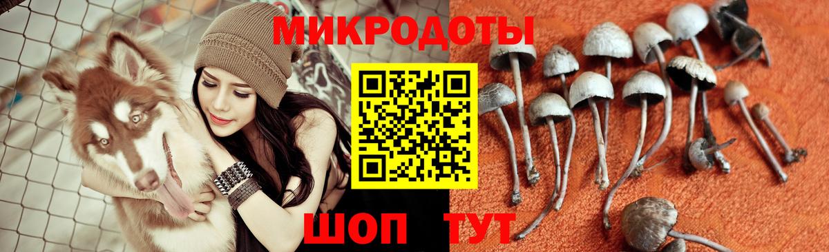 Галлюциногенные грибы ЛСД Клинцы